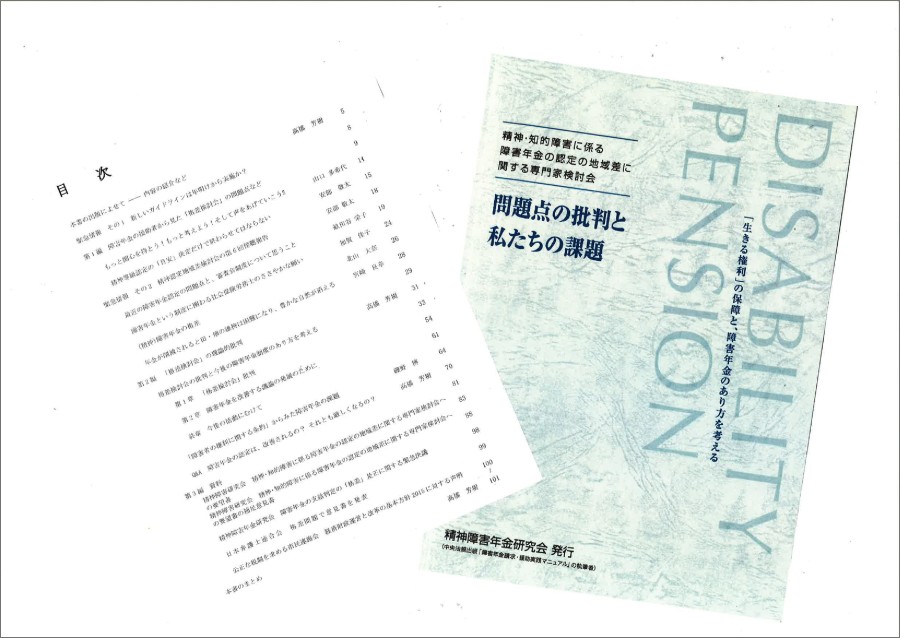 B地域格差に関する専門家検討会『問題点の批判と私たちの課題』